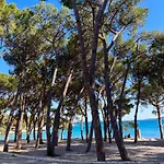 Camping Mobile Ana Mia