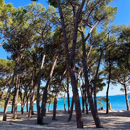 Campsite Mobile Ana Mia